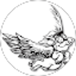 Profile photo of Brad Michael