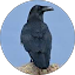 Profile photo of Basicpotato0