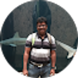 Profile photo of arobinp