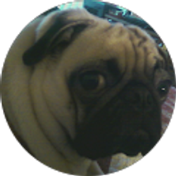 Profile photo of Charles Ruggiero