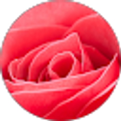 Profile photo of Aziebs Family