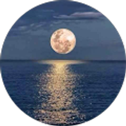 Profile photo of Tammy Curtiss (Tamsnshn)