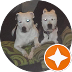 Profile photo of Ronnie Wootten