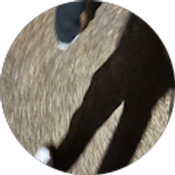 Profile photo of Ryan Wilkerson