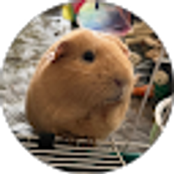 Profile photo of A Stan