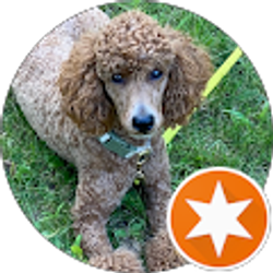 Profile photo of K M