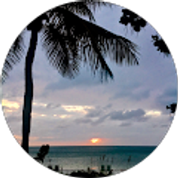 Profile photo of Brian Morgan