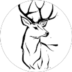 Profile photo of Stewart Day