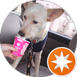 Profile photo of Judith Smith