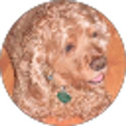Profile photo of kevin olson