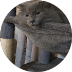 Profile photo of Jessica Weger