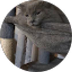 Profile photo of Jessica Weger