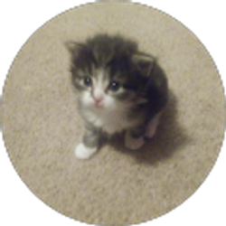 Profile photo of Kelly Sprague