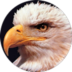 Profile photo of Wendel Sauer