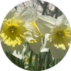 Profile photo of Angie