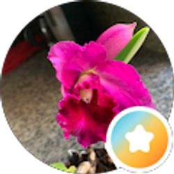Profile photo of Tracey Munoz