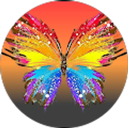 Profile photo of Night Eyes