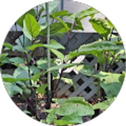 Profile photo of Marietta Egot