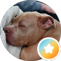Profile photo of Stephanie Stokes