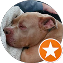 Profile photo of Stephanie Stokes