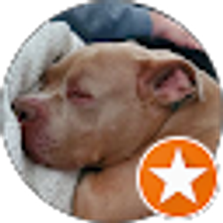 Profile photo of Stephanie Stokes