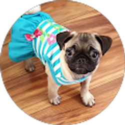 Profile photo of JenLuvsToneJustUS Cardona