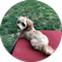 Profile photo of Jessica Maniccia