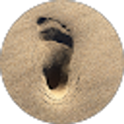 Profile photo of Zhanglin Kuang