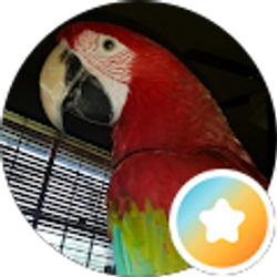 Profile photo of Melanie Wilcher