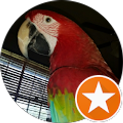 Profile photo of Melanie Wilcher