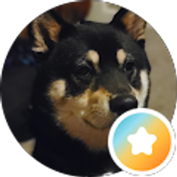 Profile photo of Kelsey Logan