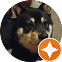 Profile photo of Kelsey Logan