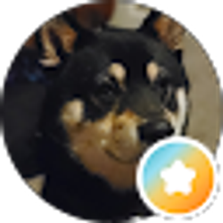 Profile photo of Kelsey Logan