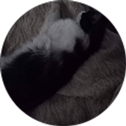 Profile photo of janice alvarez