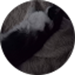 Profile photo of janice alvarez