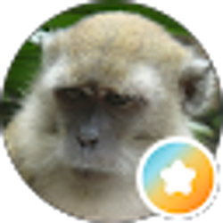 Profile photo of Rogue