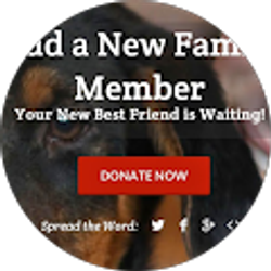 Profile photo of El Weiner