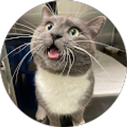 Profile photo of Adam Smelser