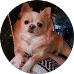 Profile photo of Ellen Jakab