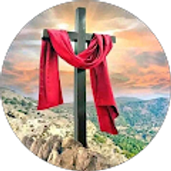 Profile photo of naol Gindaba