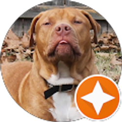 Profile photo of Pam Barfield