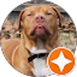 Profile photo of Pam Barfield