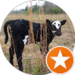 Profile photo of JCW N