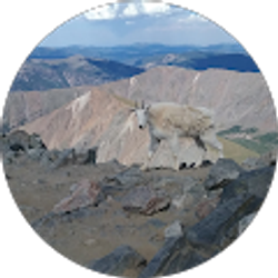 Profile photo of Thomas Bailey