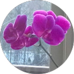 Profile photo of Cynthia Reese