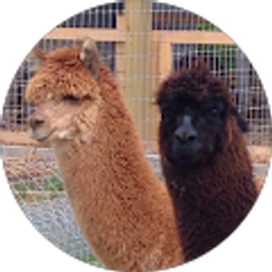 Profile photo of Karen Self