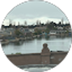 Profile photo of susan shelton