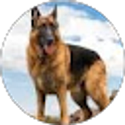 Profile photo of J D