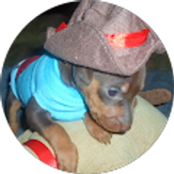 Profile photo of wvminpinlover