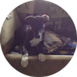 Profile photo of Tania